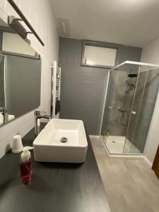 a bathroom with a white sink and a shower at Appartement 50M² in Seltz
