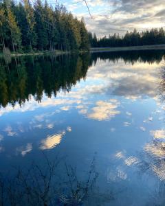 a lake with trees and clouds in the water at Harzpur Lodge - Pure Entspannung in purer Natur in Hahnenklee-Bockswiese