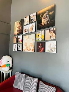 a bunch of pictures on a wall above a couch at Rabbitel Phuket in Phuket