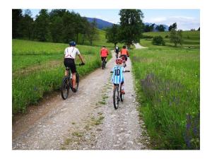 Jazda na bicykli v okolí ubytovania Holiday home Anna