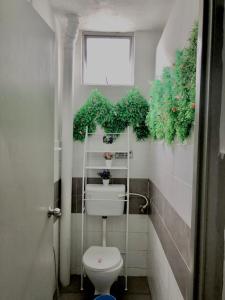 een badkamer met een toilet en planten aan de muur bij Alia Express CZ Hotel in Pasir Puteh