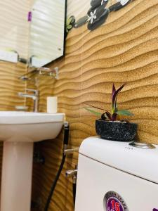 a plant on top of a toilet in a bathroom at The beach gate villa in Beruwala