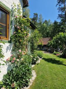 un jardín con rosas en el lateral de una casa en Ferienhaus Rosenhof en Weidenbach