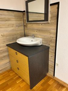 a bathroom with a sink on top of a counter at Pension FAULPELZ - Doppelzimmer Standard in Niederorschel