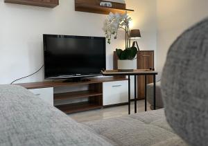 TV a/nebo společenská místnost v ubytování Monteurwohnung Burchard I Rosenau - Platz für 6 Personen