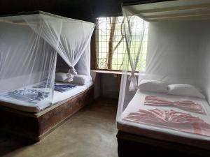 a bedroom with two beds with mosquito nets at Habarana Eco Lodge & Safari in Habarana