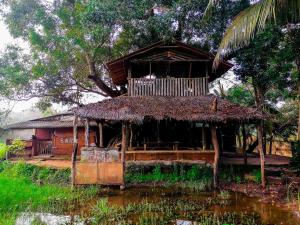 a small hut with a thatch roof on top at Habarana Eco Lodge & Safari in Habarana