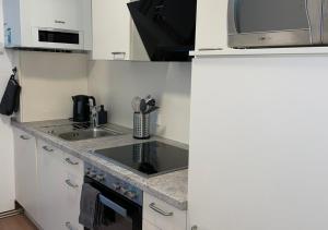Kuchyň nebo kuchyňský kout v ubytování Monteurwohnung Burchard I Rosenau - Platz für 6 Personen