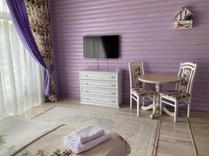 TV a/nebo společenská místnost v ubytování Oasis Karpat