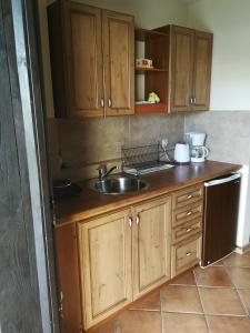 a kitchen with wooden cabinets and a sink at Stonka in Chłopy