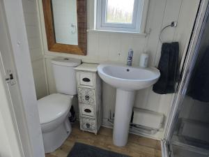 a small bathroom with a sink and a toilet at Shepherds Hut - Riverside 1 in Welshpool