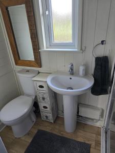 a small bathroom with a toilet and a sink at Glamping Hut - Riverside 1 in Welshpool