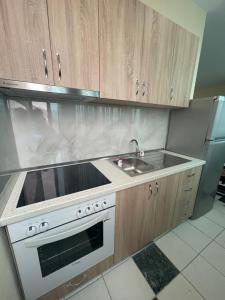 uma cozinha com um lavatório e um fogão em Bajovah Apartments & Restaurant em Tirana