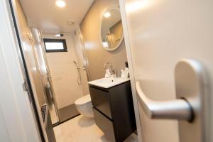 a bathroom with a sink and a toilet and a mirror at Welcome in - Houseboat - Paviljoenwei 4 - Sneek 'Boatique Sneek' in Offingawier