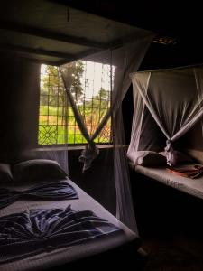 two bunk beds in a room with a window at Habarana Eco Lodge & Safari in Habarana