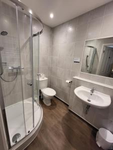 a bathroom with a shower and a toilet and a sink at Cliffe Norton in Tenby