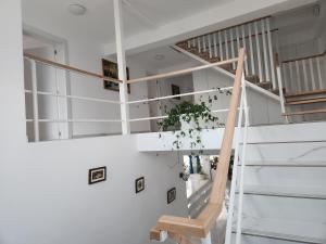 阿尔巴尤利亚Vila Reghina的相册照片