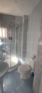 uma casa de banho com um WC, um chuveiro e um lavatório. em Travel and Holidays San Nicolas em San Sebastián de los Reyes
