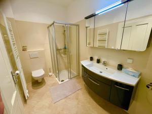 a bathroom with a shower and a sink and a toilet at Bobbys Gartenapartment in Krems an der Donau +12 photos