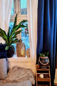 騰斯貝格的住宿－Sjarmerende leilighet i hjerte av Tønsberg by，客房设有带蓝色窗帘和植物的窗户。