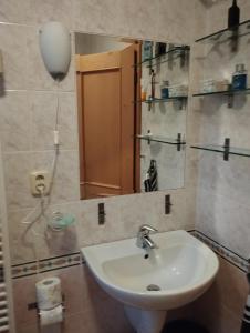 een badkamer met een wastafel en een spiegel bij apartment close to the castle in Bratislava