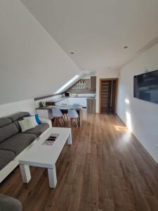 TV a/nebo společenská místnost v ubytování Apartmán Art