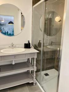 La salle de bains est pourvue d'un lavabo et d'une douche. dans l'établissement Le Nivolet, cosy appartement, à Chambéry