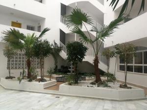 Zahrada ubytování Apartamento Playa Velilla Park II