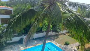 an overhead view of a palm tree next to a swimming pool at Ary Homestay Nyali - On Corral Drive in Mombasa