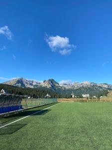 ein Fußballfeld mit Bergen im Hintergrund in der Unterkunft Guesthouse Andrea A in Žabljak