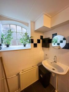 een badkamer met een wastafel en twee potplanten in een raam bij 't Lytse Knipke in Lemmer