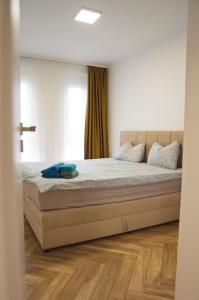 6 DOC Dream Apartment 6 +Parcare في أوراديا: غرفة نوم بسرير كبير مع أرضية خشبية