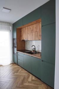 uma cozinha com paredes verdes, armários de madeira e um lavatório. em 6 DOC Dream Apartment 6 +Parcare em Oradea