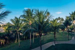 een rij palmbomen in een park bij Iberostar Bahia - All Inclusive in Praia do Forte