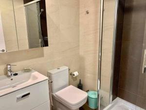 La salle de bains est pourvue de toilettes, d'un lavabo et d'une douche. dans l'établissement Puerta de Santa Maria Grupo AC Gestion, à Cadix
