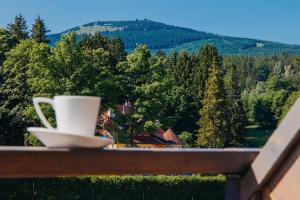 a cup of coffee sitting on a balcony with a view at Five Seasons Szklarska Poręba in Szklarska Poręba