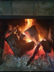 a fire in a brick oven with meat and tongs at Rifugio Silano in Taverna
