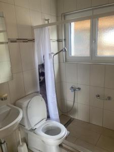 a bathroom with a toilet and a shower and a sink at Ferienwohnung auf Ziegenhof in Alvaneu