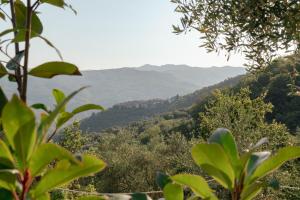a view of a valley with mountains in the distance at Tipì - Glamping Experience in Chiusanico