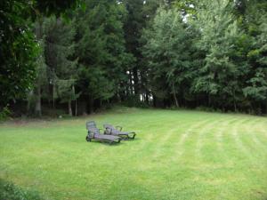 two benches sitting in a field of grass at Quellenhof Kollnburg in Kollnburg