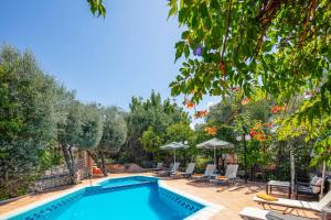basen w ogrodzie z krzesłami i drzewem w obiekcie Villa Katerina Dio w mieście Astérion