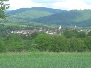 eine Stadt mitten in einem Tal mit Bäumen in der Unterkunft Ferienwohnung Storchenblick in Herbolzheim