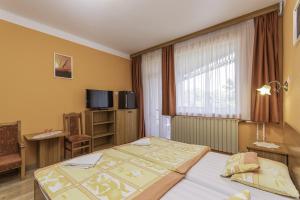 um quarto de hotel com uma cama e uma janela em Hableány Hotel em Tiszafüred