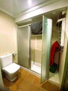 e bagno con servizi igienici e cabina doccia in vetro. di Apartamento La Visera Plaza Andalucía a Sierra Nevada