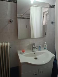 uma casa de banho com um lavatório, um espelho e um radiador em J&B Home em Alexandroupoli