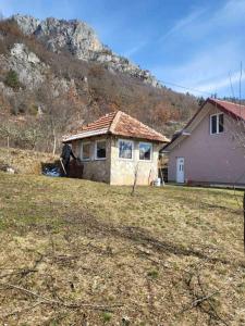 a house in a field with a mountain in the background at Mountain Home Paravci in Čajniče