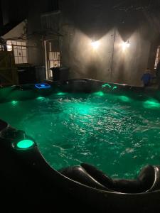 an elephant in a swimming pool at night at Bridge House in Chichester