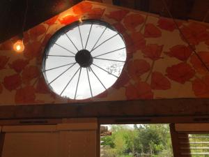 Ảnh trong thư viện ảnh của The Wackery ở Haslemere