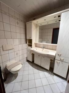 ヴァイスキルヒェンにあるKomfortable Monteurwohnung in Weiskirchenのバスルーム(洗面台、トイレ、鏡付)