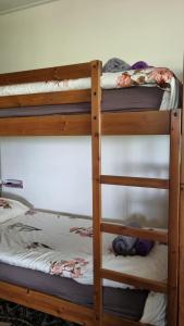 two sets of bunk beds in a room at City Farmer-Amsterdam, Stay, Inn, Loft, Bed, Bike and Breakfast in Amsterdam